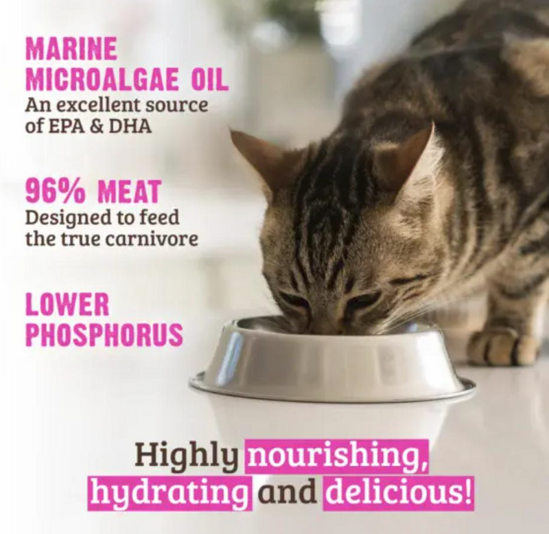 Load image into Gallery viewer, Rawz Cat Can Low Phosphorus Beef Pate 155g