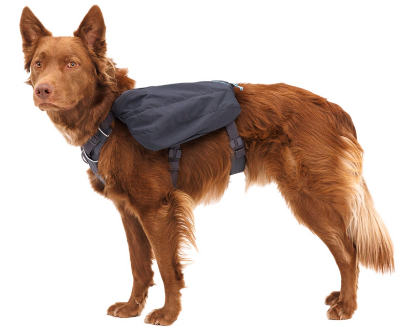 Load image into Gallery viewer, Ruffwear Front Range Day Pack Basalt Gray - Discover Dogs