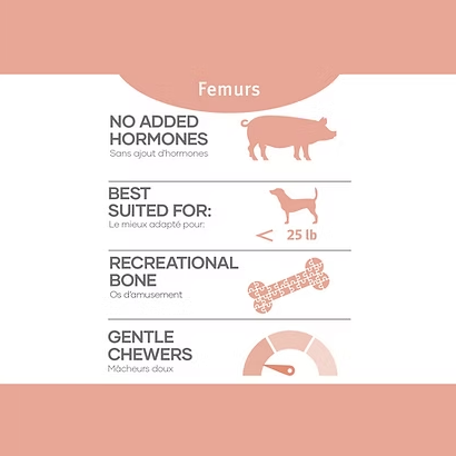 Load image into Gallery viewer, RDBK Frozen Pork Femur - Discover Dogs