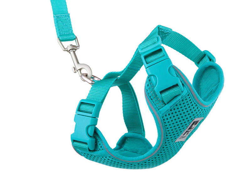 Load image into Gallery viewer, RC Adventure Kitty Harness Teal