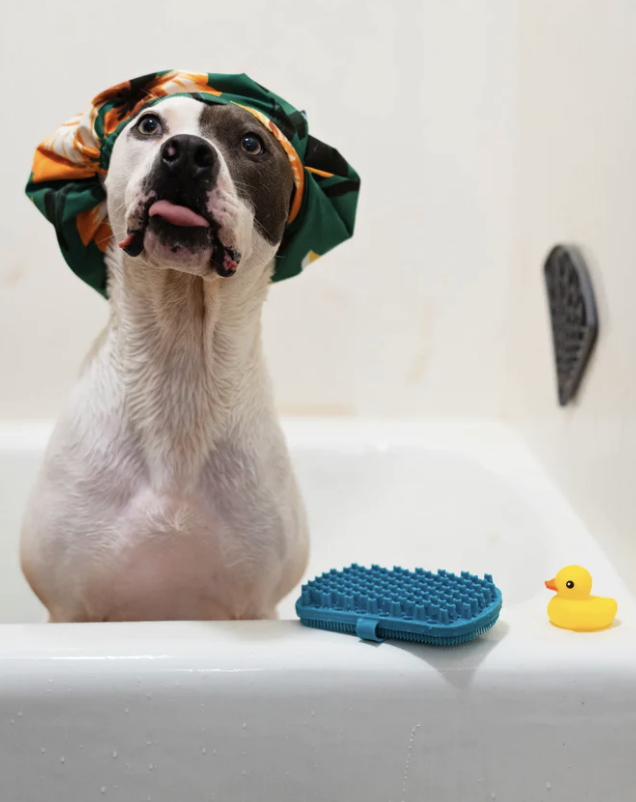 Load image into Gallery viewer, Messy Mutts Silicone Dual Sided Grooming Brush