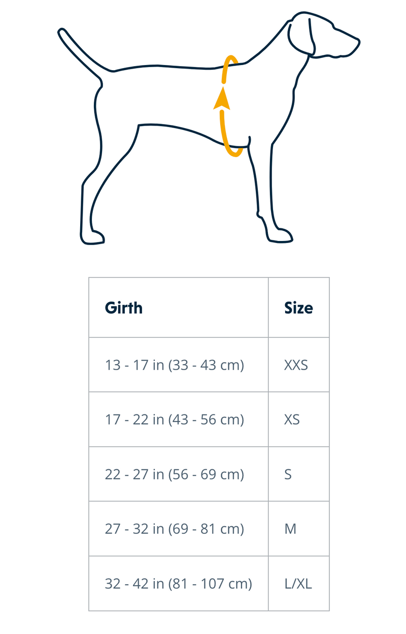 Load image into Gallery viewer, Ruffwear Hi & Light Harness Sage Green