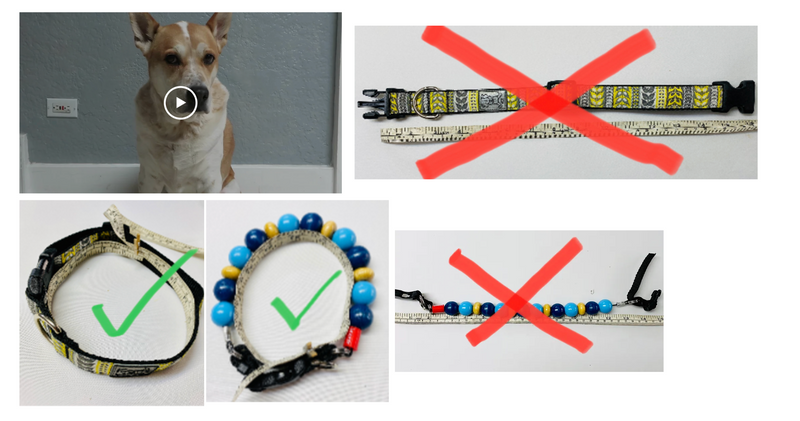 Load image into Gallery viewer, Furrybeads Collar 59 - Birch