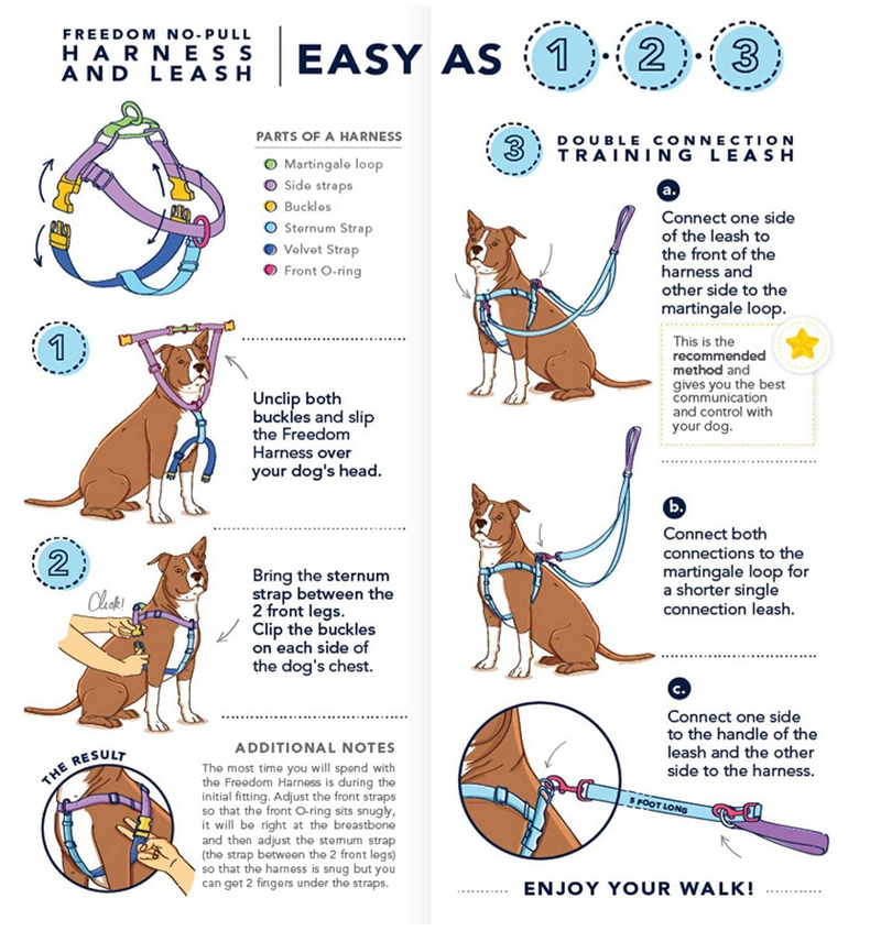 Load image into Gallery viewer, Freedom No-Pull Harness Kelly Green - Discover Dogs