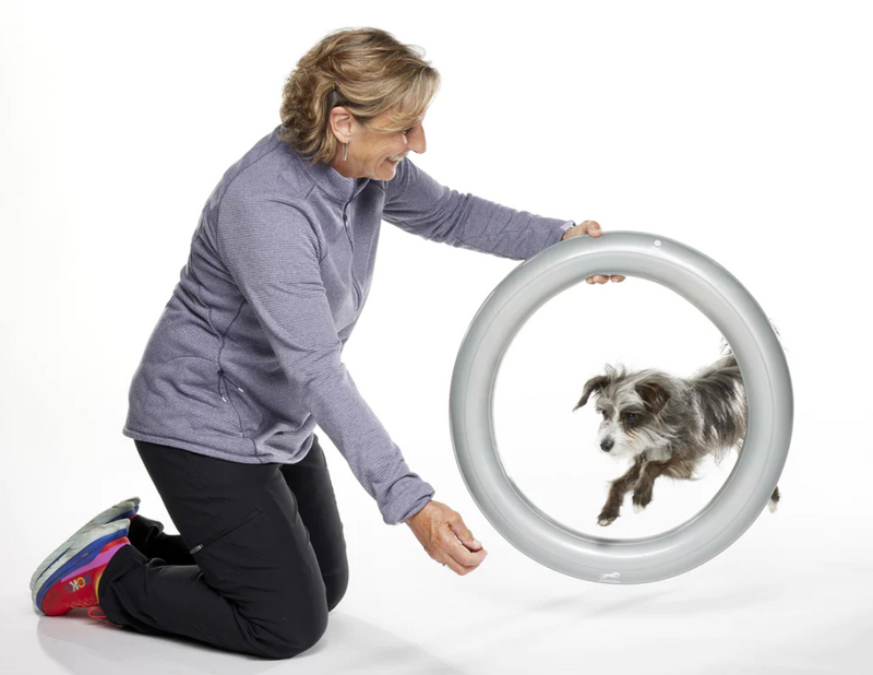 Load image into Gallery viewer, FitPAWS Circular Holder for Trax Donut