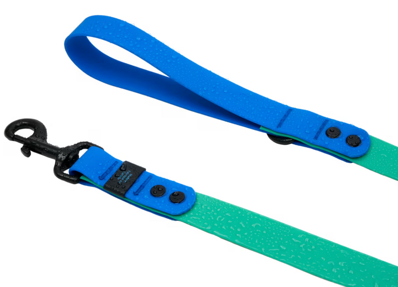 Load image into Gallery viewer, RC Pets Waterproof Leash 5' x 1''