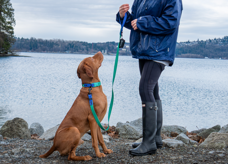 Load image into Gallery viewer, RC Pets Waterproof Leash 5' x 1''