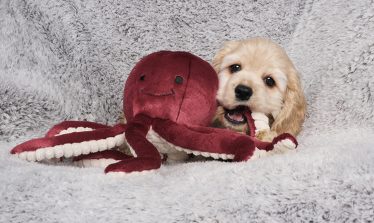 Fluff & Tuff Olympia the Octopus 11''