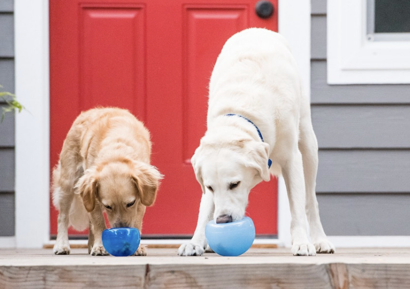 Load image into Gallery viewer, Lil' Snoop Dark Blue - Discover Dogs