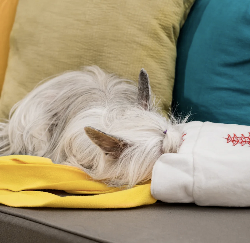 Load image into Gallery viewer, Injoya Take-Out Snuffle Toy