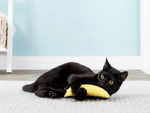Load image into Gallery viewer, Yeowww! Catnip Banana