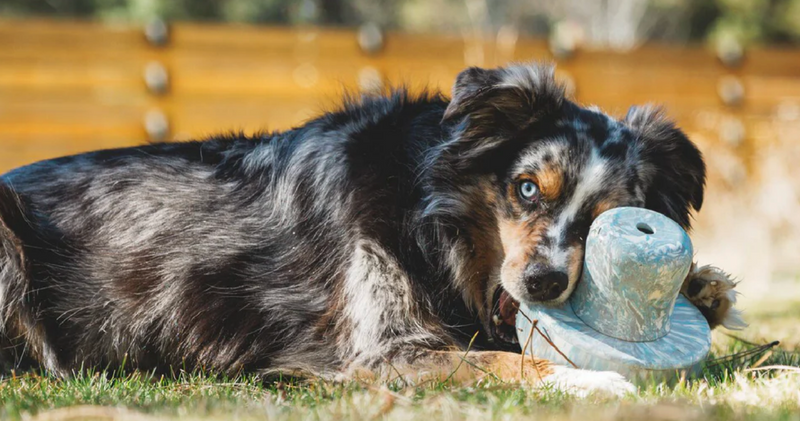 Load image into Gallery viewer, Ruffwear Porcini Toy