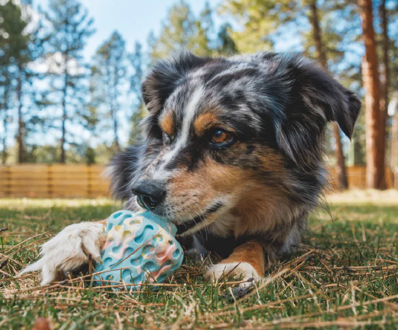 Load image into Gallery viewer, Ruffwear Morel Toy