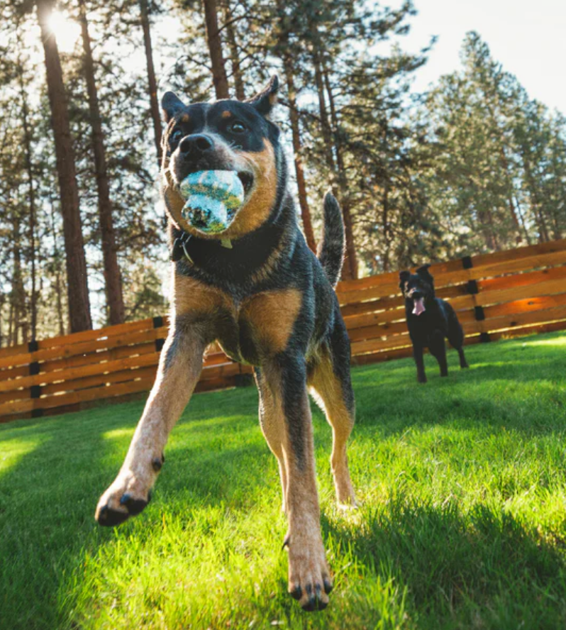 Load image into Gallery viewer, Ruffwear Toadstool Toy