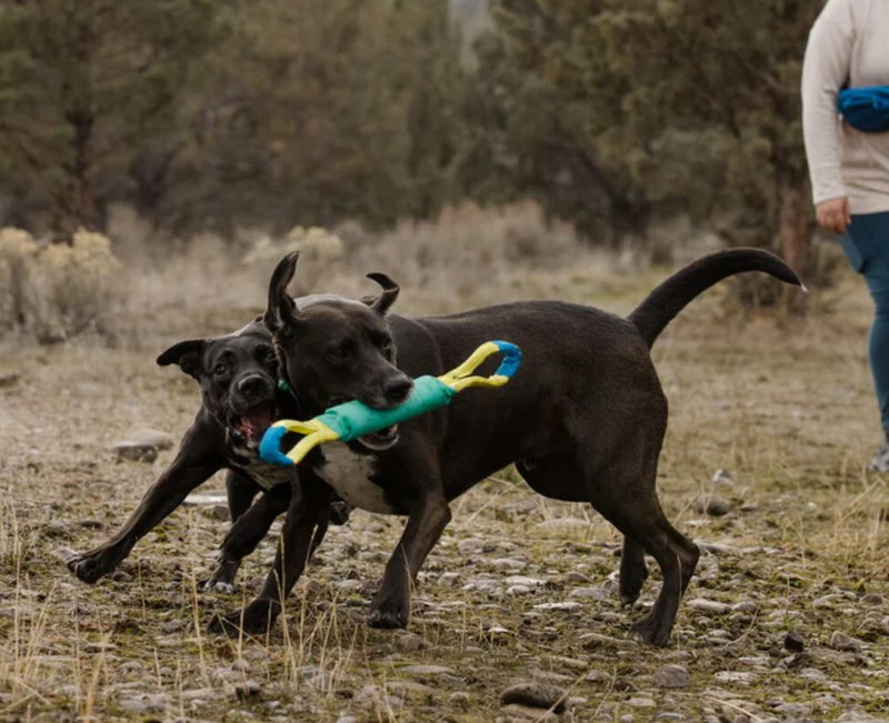 Load image into Gallery viewer, Ruffwear Pacific Loop Toy - Discover Dogs