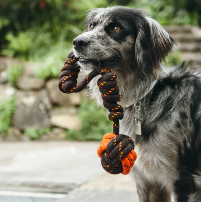 Load image into Gallery viewer, PLAY Rope Tug Toy