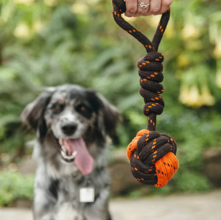 Load image into Gallery viewer, PLAY Rope Tug Toy