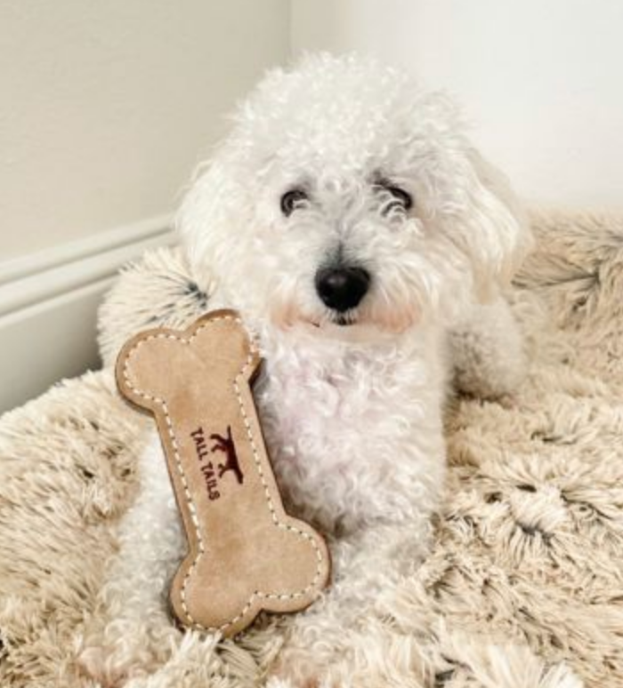 Load image into Gallery viewer, Tall Tails Leather & Wool Bone 6" - Discover Dogs
