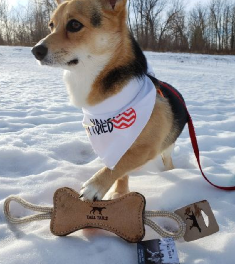 Load image into Gallery viewer, Tall Tails Leather Tug Bone 12'' - Discover Dogs