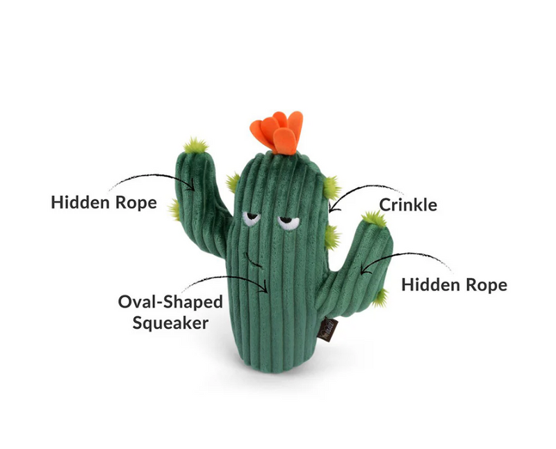 Load image into Gallery viewer, PLAY Blooming Buddies Prickly Pup Cactus