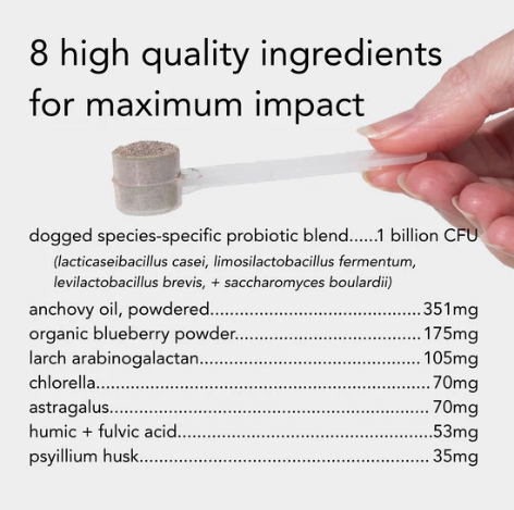 Load image into Gallery viewer, Dogged Daily Canine Symbiotic