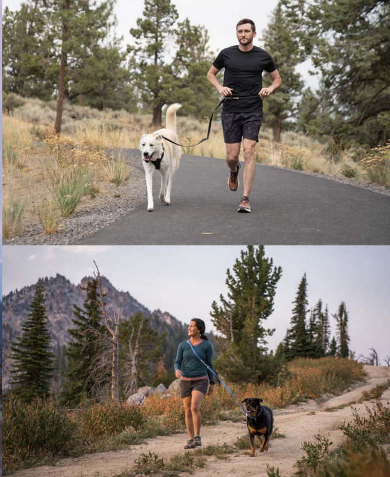 Load image into Gallery viewer, Ruffwear Switchbak Multi-Function Dog Leash