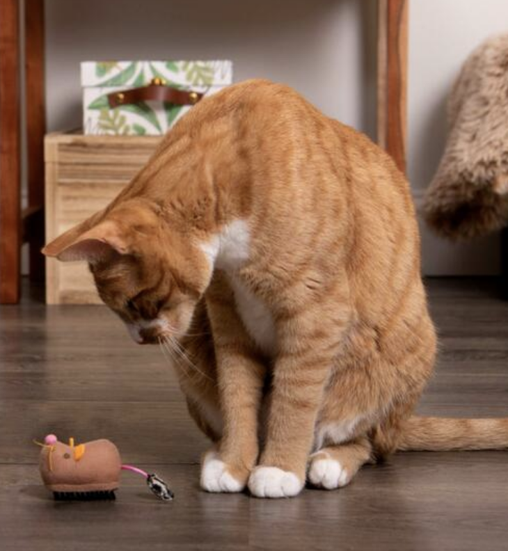 Load image into Gallery viewer, Instincts Motion Battery Powered Mouse Toy