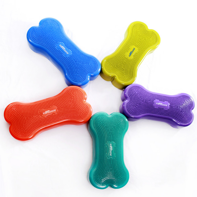 Load image into Gallery viewer, FitPAWS K9 FITbone - Discover Dogs