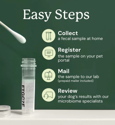 Load image into Gallery viewer, Animal Biome Gut Microbiome Health Test for Dogs