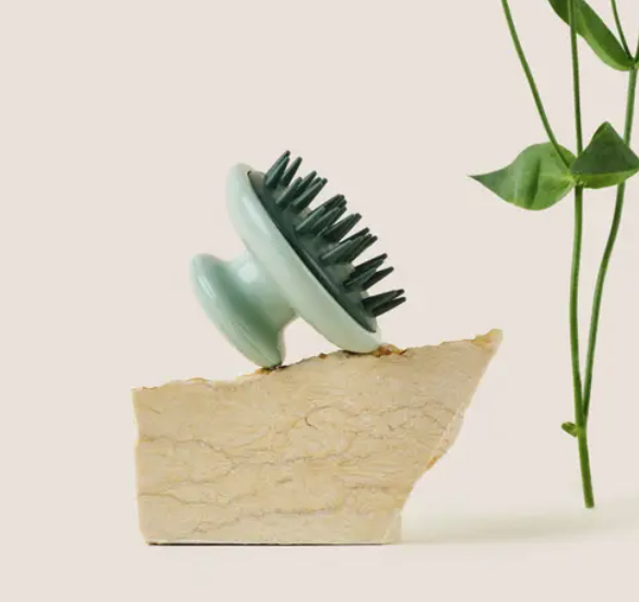 Load image into Gallery viewer, Dandylion Scrub Brush