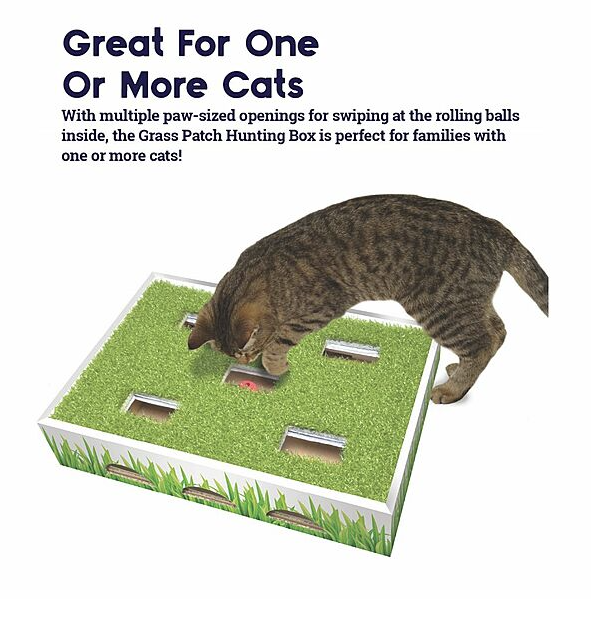 Load image into Gallery viewer, Petstages Cat Grass Patch Hunting Box