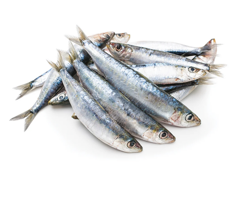 Load image into Gallery viewer, Iron Will Raw Frozen Sardines 1lb