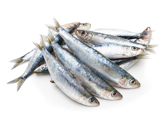 Iron Will Raw Frozen Sardines 1lb