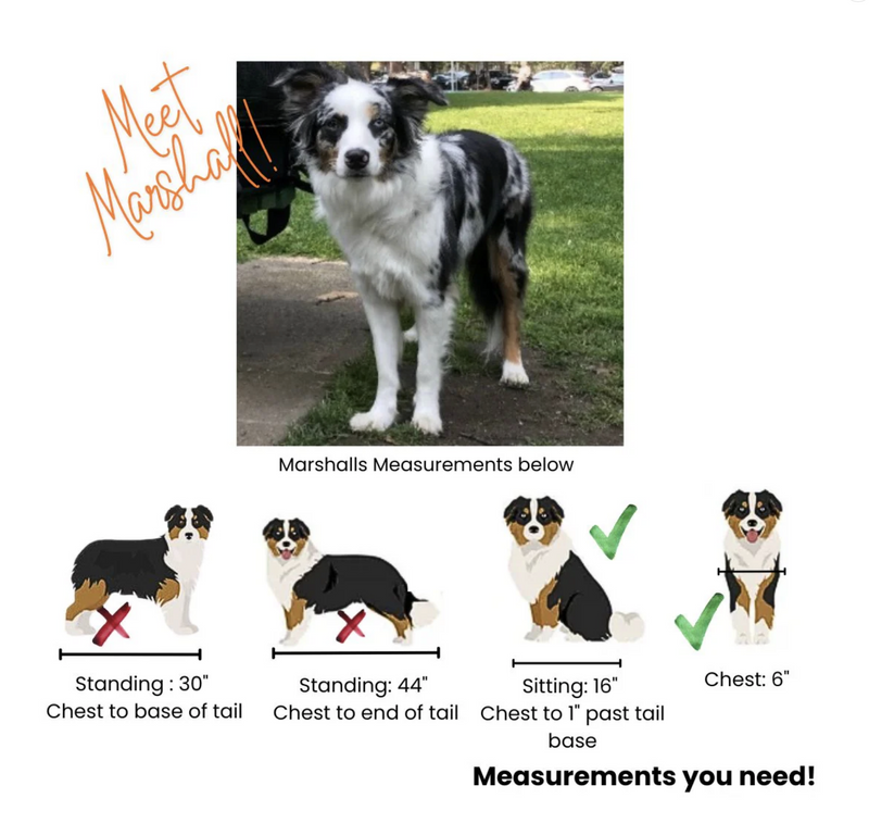 Load image into Gallery viewer, BuddyRider Series 2