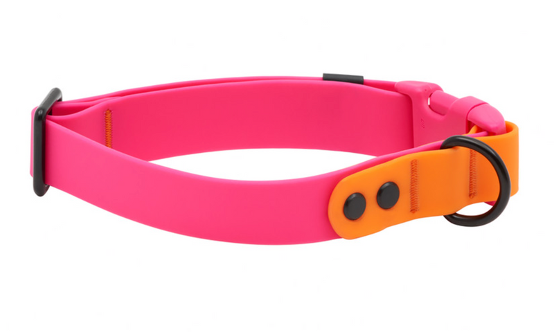Load image into Gallery viewer, RC Pets Waterproof Collar Azalea/Orange