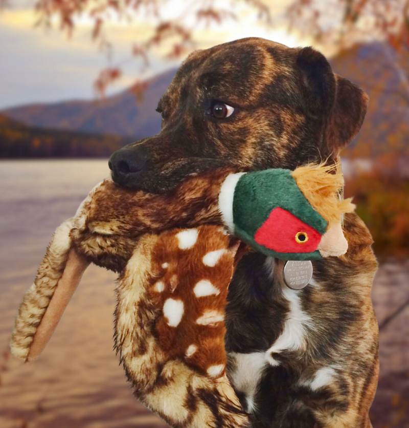 Load image into Gallery viewer, Fluff & Tuff Ike Pheasant 12''
