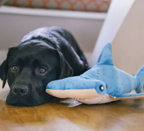 Load image into Gallery viewer, PLAY Ocean Buddies - Hammerhead Shark Large