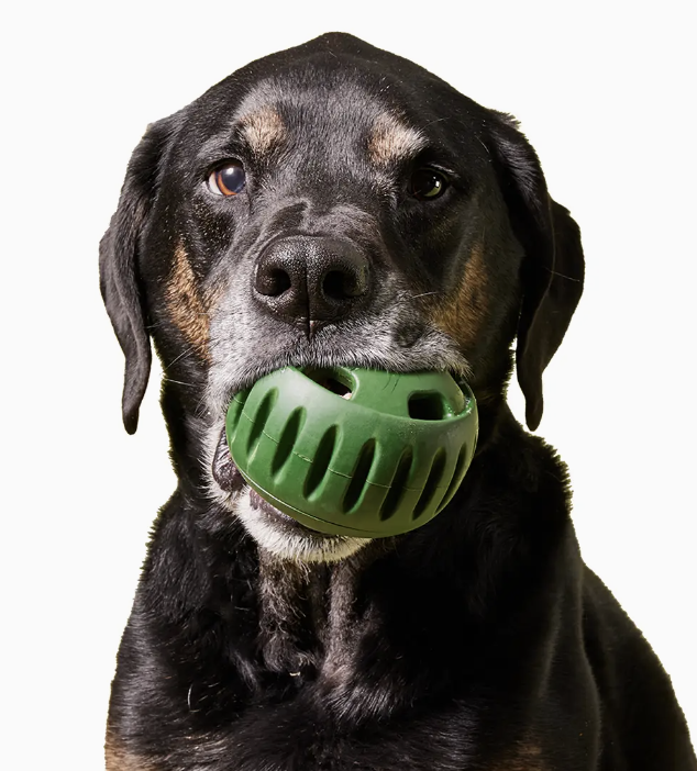 Load image into Gallery viewer, Woof The Pupsicle - Discover Dogs