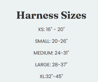 Load image into Gallery viewer, Woof & Stuff Basecamp Harness Gray