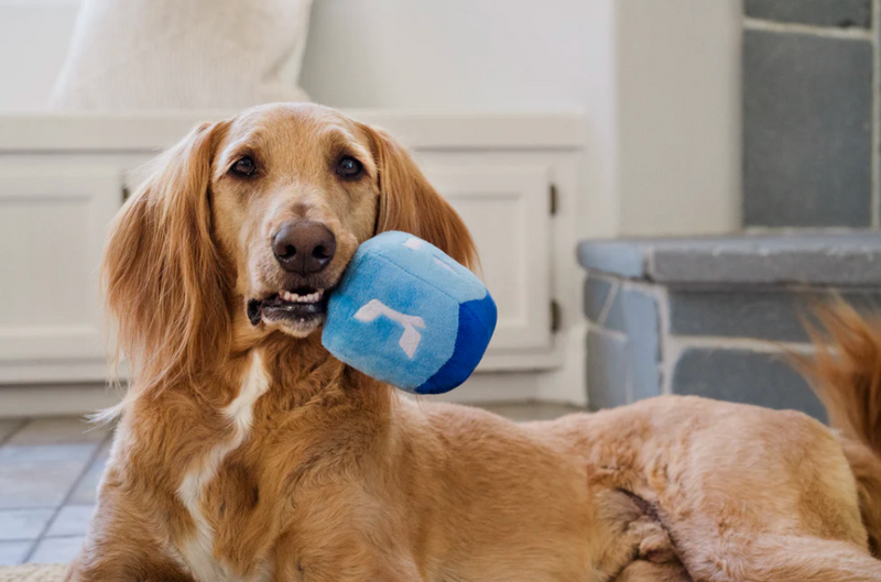 Load image into Gallery viewer, PLAY Paw-nukkah Dreidel