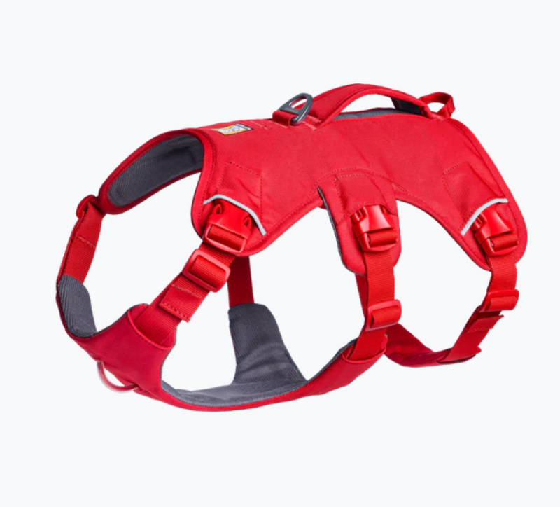 Load image into Gallery viewer, Ruffwear Web Master Red Canyon