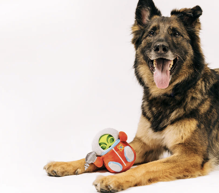 Load image into Gallery viewer, PLAY Alien Buddies Astro Explorer 2 in 1 Toy