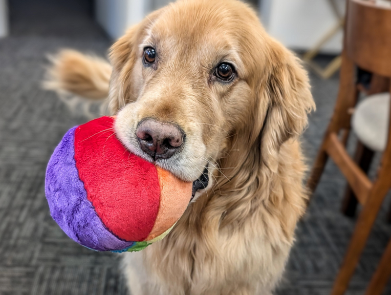 Load image into Gallery viewer, Fluff & Tuff Mini Beach Ball 5.5''