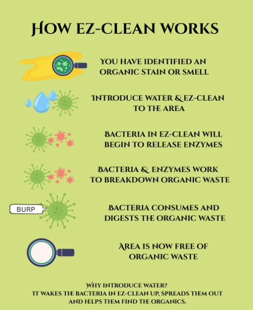 Load image into Gallery viewer, Ez-clean Odour & Stain Remover Fragrance Free Spray 1L
