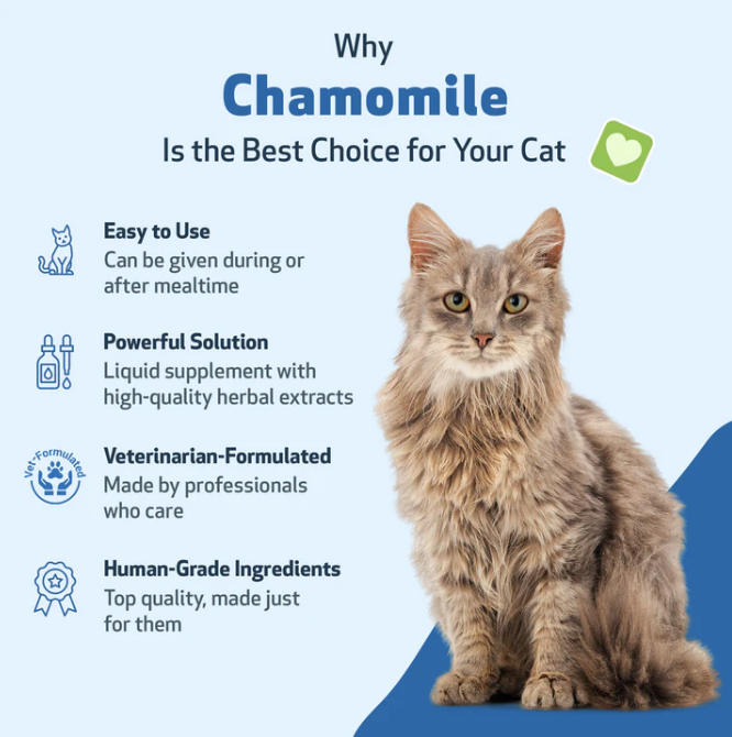 Load image into Gallery viewer, Pet Wellbeing Chamomile for Cats