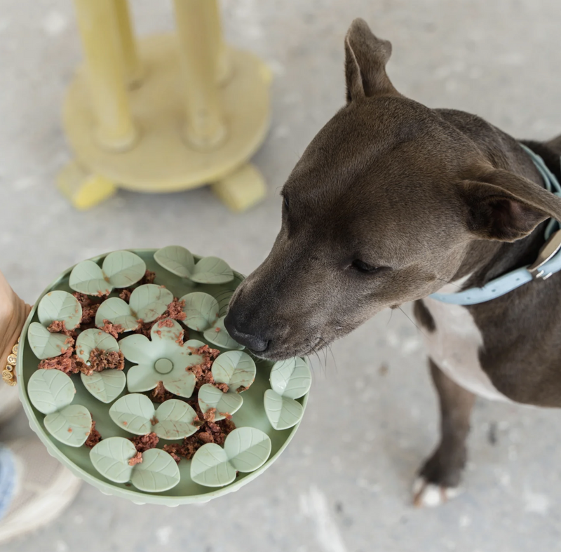Load image into Gallery viewer, Dexypaws Silicone Snuffle Mat Sage Green