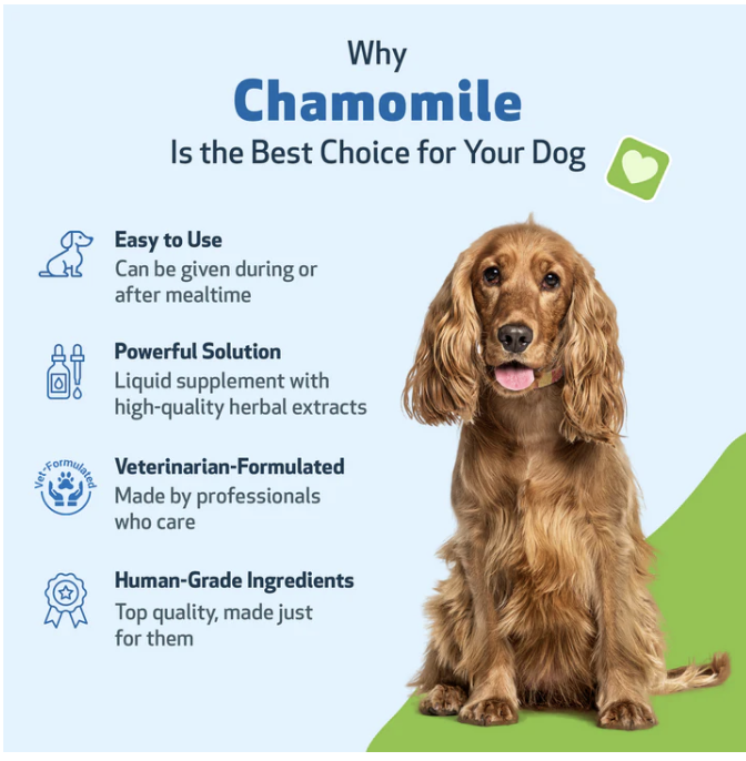 Load image into Gallery viewer, Pet Wellbeing Chamomile for Dogs