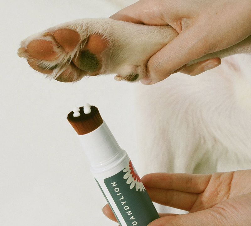 Load image into Gallery viewer, Dandylion Soft Paws Hydrating Paw Lotion