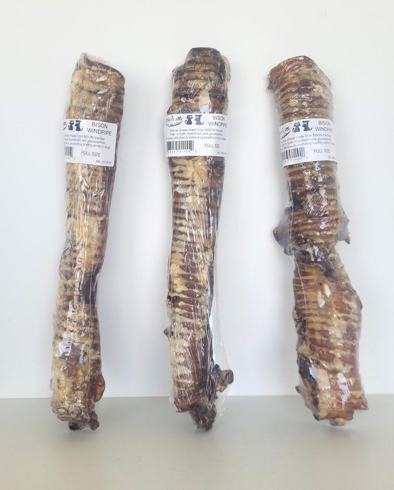 Load image into Gallery viewer, Noah's Ark Bulk Bison Windpipe 15-17''