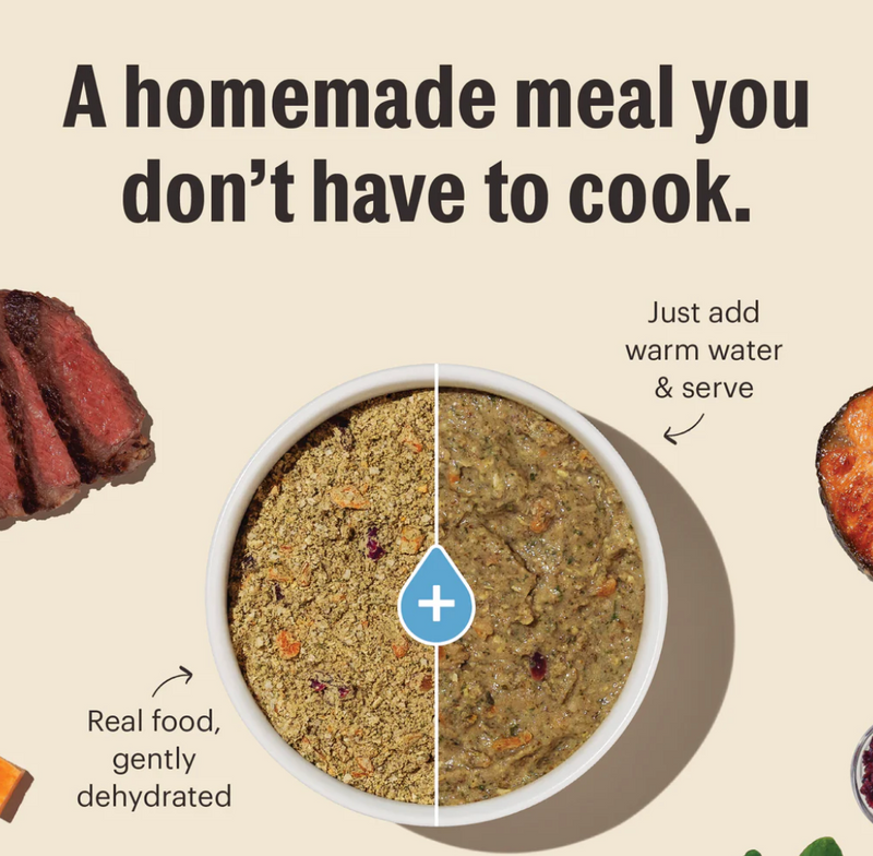 Load image into Gallery viewer, Honest Kitchen Dehydrated Grain-Free Turkey - Discover Dogs